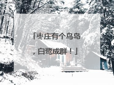 枣庄有个鸟岛，白鹭成群！
