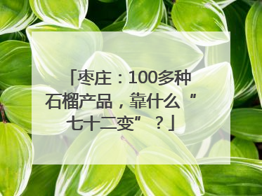 枣庄：100多种石榴产品，靠什么“七十二变”？