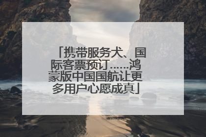携带服务犬、国际客票预订……鸿蒙版中国国航让更多用户心愿成真