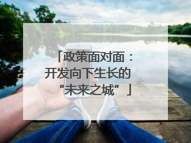 政策面对面：开发向下生长的“未来之城”