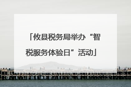 攸县税务局举办“智税服务体验日”活动