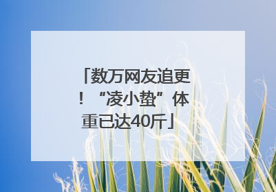 数万网友追更！“凌小蛰”体重已达40斤