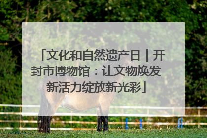 文化和自然遗产日｜开封市博物馆：让文物焕发新活力绽放新光彩