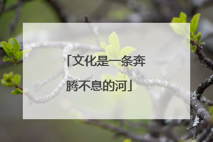 文化是一条奔腾不息的河
