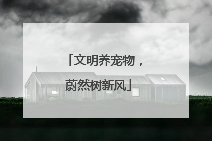 文明养宠物，蔚然树新风