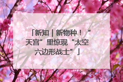 新知｜新物种！“天宫”里惊现“太空六边形战士”