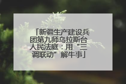 新疆生产建设兵团第九师乌拉斯台人民法庭：用“三调联动”解牛事