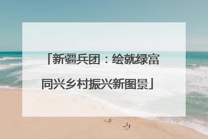 新疆兵团：绘就绿富同兴乡村振兴新图景