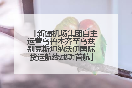 新疆机场集团自主运营乌鲁木齐至乌兹别克斯坦纳沃伊国际货运航线成功首航