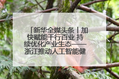 新华全媒头条丨加快赋能千行百业 持续优化产业生态——浙江推动人工智能健康有序发展观察