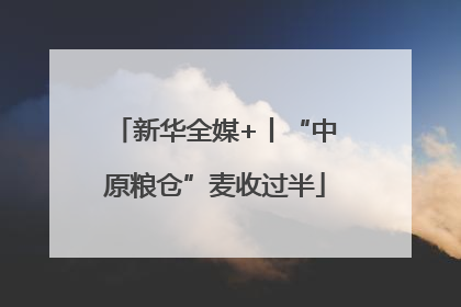 新华全媒+丨“中原粮仓”麦收过半