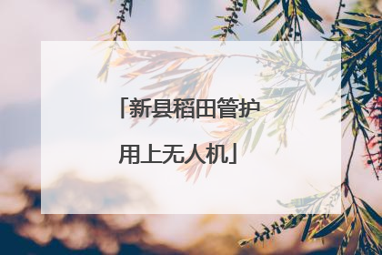 新县稻田管护用上无人机