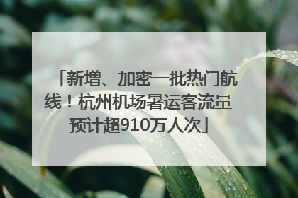 新增、加密一批热门航线！杭州机场暑运客流量预计超910万人次