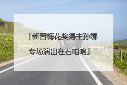 新晋梅花奖得主孙娜专场演出在石唱响
