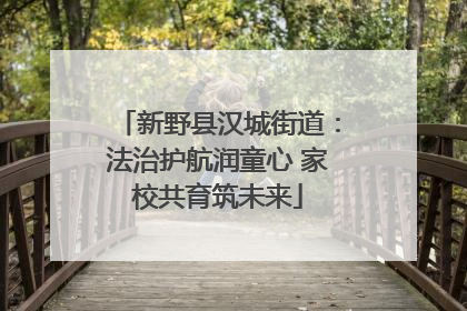 新野县汉城街道：法治护航润童心 家校共育筑未来
