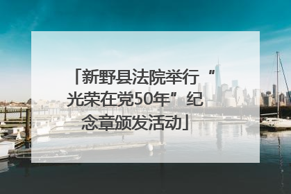 新野县法院举行“光荣在党50年”纪念章颁发活动