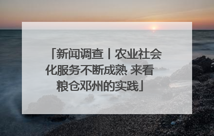 新闻调查丨农业社会化服务不断成熟 来看粮仓邓州的实践