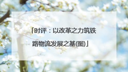时评：以改革之力筑铁路物流发展之基(图)