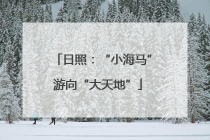 日照：“小海马”游向“大天地”