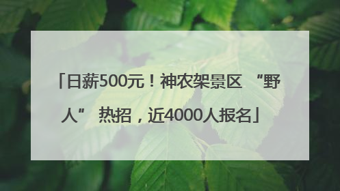 日薪500元！神农架景区 “野人” 热招，近4000人报名