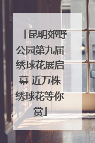 昆明郊野公园第九届绣球花展启幕 近万株绣球花等你赏
