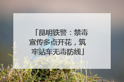 昆明铁警：禁毒宣传多点开花，筑牢站车无毒防线