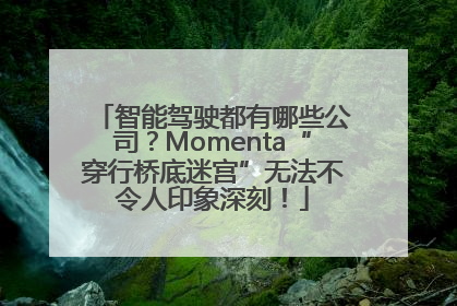 智能驾驶都有哪些公司？Momenta“穿行桥底迷宫”无法不令人印象深刻！