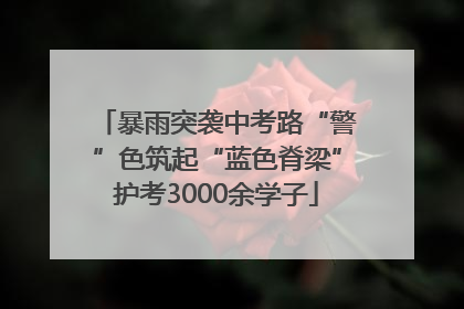 暴雨突袭中考路“警”色筑起“蓝色脊梁”护考3000余学子