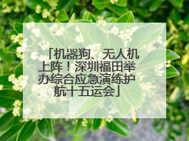 机器狗、无人机上阵！深圳福田举办综合应急演练护航十五运会