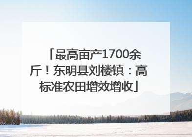 最高亩产1700余斤！东明县刘楼镇：高标准农田增效增收