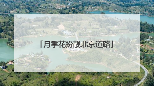 月季花扮靓北京道路