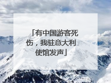 有中国游客死伤，我驻意大利使馆发声