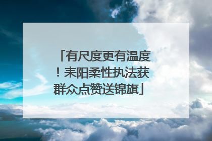 有尺度更有温度！耒阳柔性执法获群众点赞送锦旗