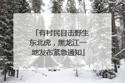 有村民目击野生东北虎，黑龙江一地发布紧急通知