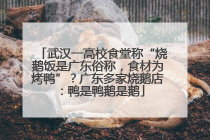 武汉一高校食堂称“烧鹅饭是广东俗称，食材为烤鸭”？广东多家烧鹅店：鸭是鸭鹅是鹅