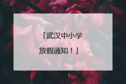 武汉中小学放假通知！