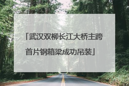 武汉双柳长江大桥主跨首片钢箱梁成功吊装