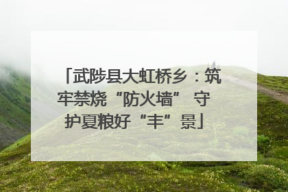武陟县大虹桥乡：筑牢禁烧“防火墙” 守护夏粮好“丰”景
