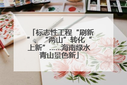标志性工程“刷新”、“两山”转化“上新”……海南绿水青山景色新