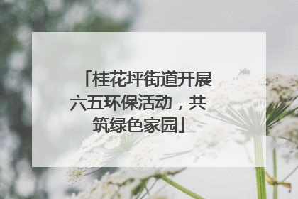 桂花坪街道开展六五环保活动，共筑绿色家园