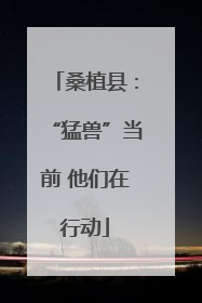 桑植县：“猛兽”当前 他们在行动