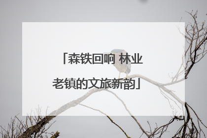 森铁回响 林业老镇的文旅新韵
