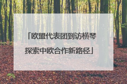 欧盟代表团到访横琴 探索中欧合作新路径