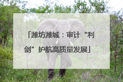 潍坊潍城：审计“利剑”护航高质量发展