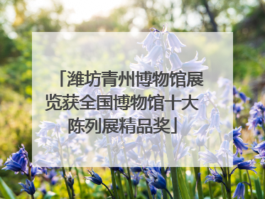 潍坊青州博物馆展览获全国博物馆十大陈列展精品奖