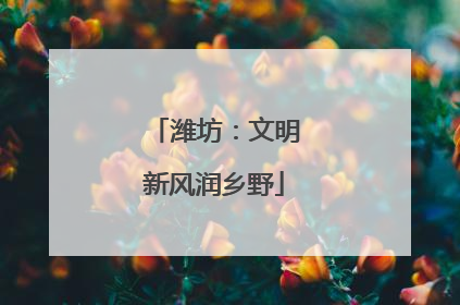 潍坊：文明新风润乡野