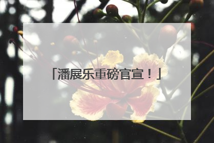 潘展乐重磅官宣！