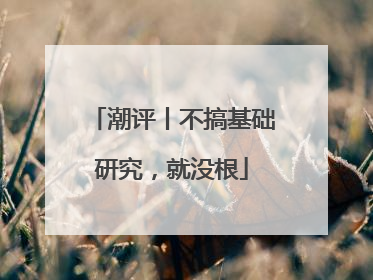 潮评丨不搞基础研究，就没根