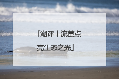 潮评丨流萤点亮生态之光