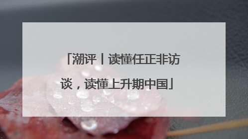 潮评丨读懂任正非访谈，读懂上升期中国